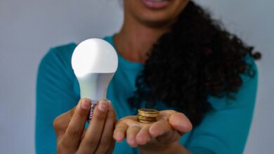 Bolsa Família: como confirmar se sua conta de luz já tem o desconto da Tarifa Social?