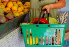 Atenção! CRAS divulga a lista dos aptos a ganhar cesta básica em maio: veja se você é um deles