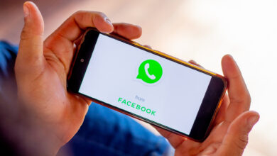 Aprenda falar com o governo federal pelo WhatsApp a fim de esclarecer suas dúvidas sobre o Bolsa Família 2024 e de outros anos.