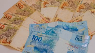 Um novo projeto permite que alguns trabalhadores brasileiros ligados à produção de alimentos recebam Bolsa Família acumulado.