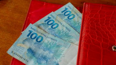 Você pode ter acesso a bônus do Bolsa Família sem saber e aumentar R$ 300,00 nos seus ganhos mensais; entenda melhor agora.