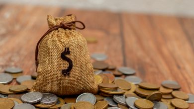 O que é preciso saber para garantir o recebimento do Bolsa Família e aumentar a renda da sua casa ainda neste ano.