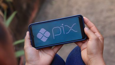 Quais beneficiários do Bolsa Família receberão antecipado pelo PIX