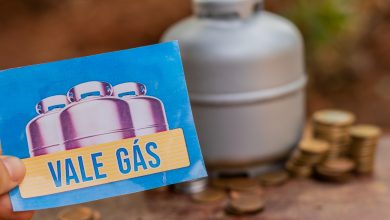 Guia completo sobre o Auxílio Gás do Bolsa Família