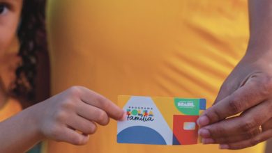 Saiba tudo sobre o adicional de R$ 50 do Bolsa Família durante a gravidez e após o nascimento do bebê, conforme a legislação vigente.