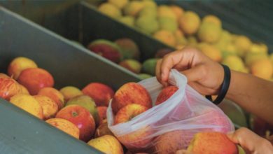 A implementação de novo cartão alimentação para beneficiários do Bolsa Família gera expectativas e esclarecimentos sobre o programa.