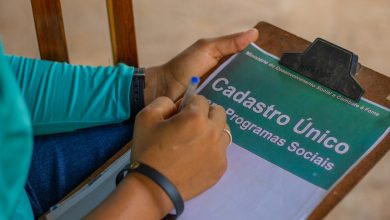 Descubra qual é o número de filhos aceito para o Bolsa Família a fim de conseguir receber benefícios extras na renda dos brasileiros aprovados.