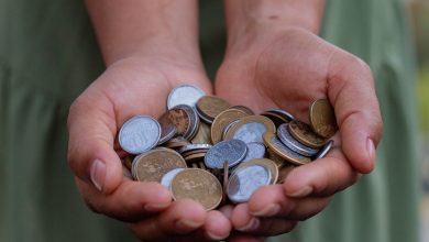 Moedas de 1 real podem ser muito valiosas e chegar a quantias de R$ 500 cada