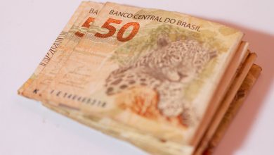 Quem recebe o Bolsa Família pode até não saber, mas existe como liberar benefícios extras no CPF por meio do programa. Entenda como isso funciona.