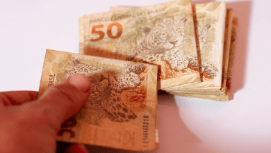 Descubra agora quanto você tem direito a receber do Bolsa Família e Vale Gás