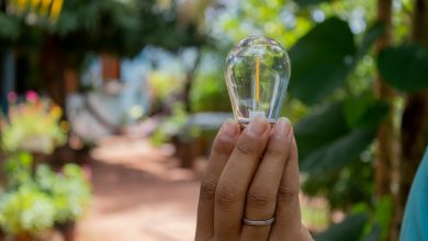 Boleto de energia elétrica está caro? Veja como eliminar esse gasto no seu mês e conte com a ajuda do governo.