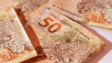 Beneficiário do Bolsa Família Veja agora como conseguir um empréstimo rápido pelo Caixa Tem