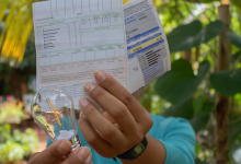 Desconto na conta de luz será que só quem recebe Bolsa Família tem direito Descubra agora