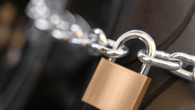 Entenda as causas do bloqueio judicial do Bolsa Família e como se prevenir