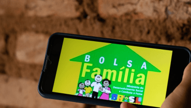 Quem comete fraude no Bolsa Família paga caro veja o passo a passo para denunciar