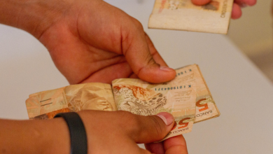 Nova renda extra saiba como se inscrever e garantir R$ 300 além do Bolsa Família