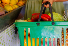 R$ 600 do Bolsa Família substituídos por cesta básica Entenda a polêmica