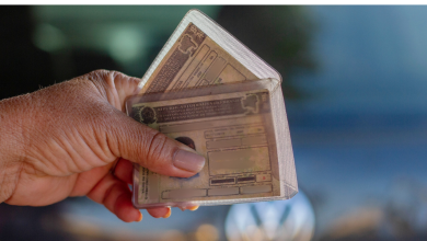 Sonhando com a CNH Agora ela pode ser sua de graça - veja como solicitar