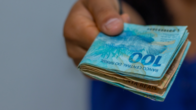 Antecipação de R$ 300 em dezembro para NIS 0 a 9 veja como fazer a solicitação