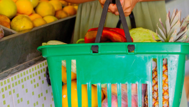 Bolsa Família confira os critérios para receber o cartão alimentação de R$ 300 em 2025
