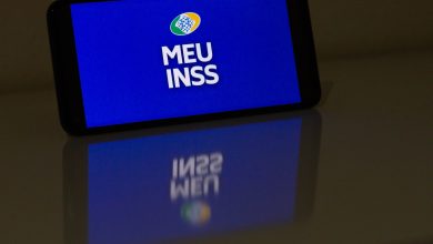 Meu INSS