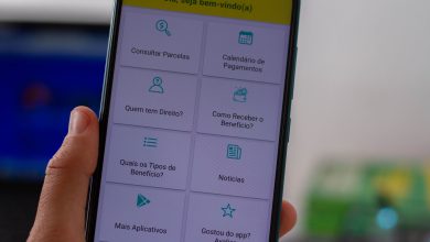 Bolsa Família 2025.