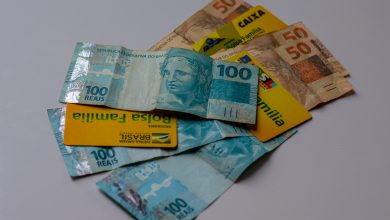 Vai receber o Bolsa Família? Se for do NIS 8, consulte seu benefício hoje.