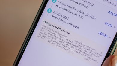 Aplicativo Bolsa Família.