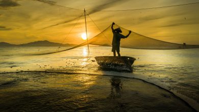 O seguro-defeso é um benefício que, assim como os demais, tem suas próprias regras de pagamento.