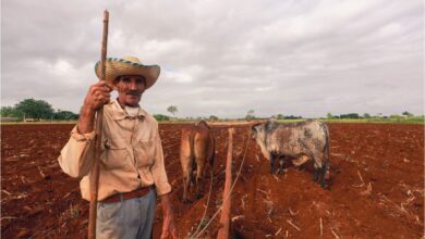 Os trabalhadores rurais agora podem contar com uma nova linha de crédito com ajuda do governo.