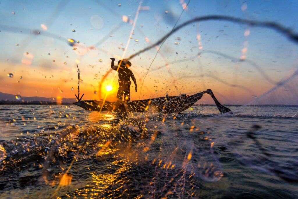 Se você é pescador artesanal, veja como receber o seguro-defeso retroativo.