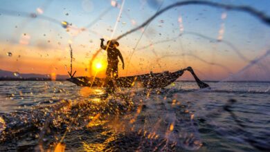 Se você é pescador artesanal, veja como receber o seguro-defeso retroativo.